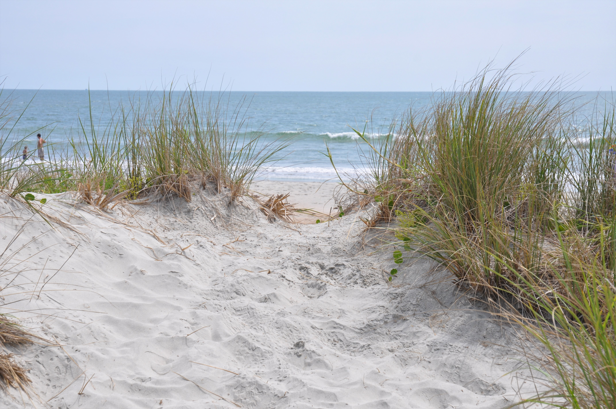 Find the Cheapest Gas on Your Myrtle Beach Vacation